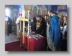 IMG_1250 (Medium)